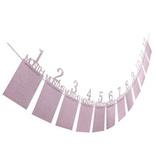Photo Banner Gift Decorations 1-12 Month Baby